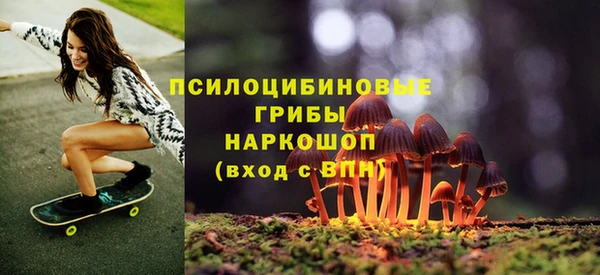 ешки Волоколамск