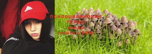 прущая мука Володарск