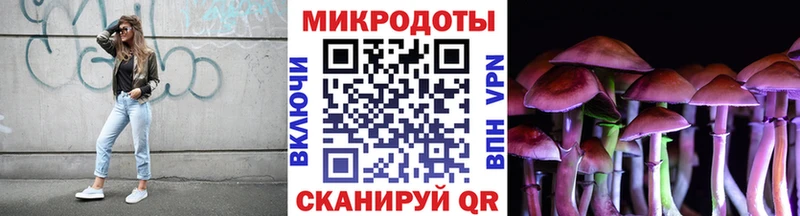 Галлюциногенные грибы Psilocybine cubensis  Ессентукская 